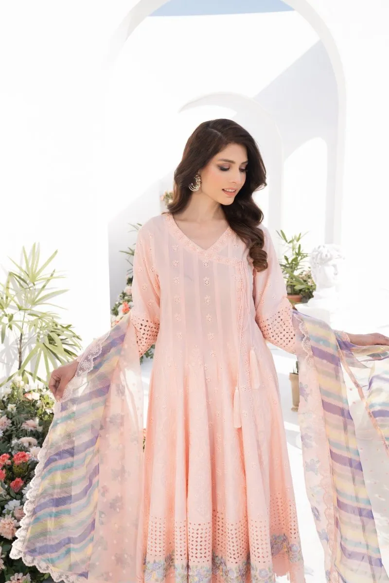 Karma Embroidered Pakistani Eid Dress KAR61